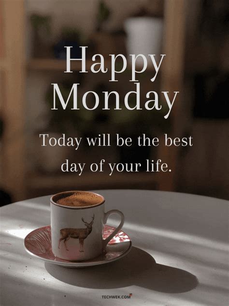 monday gif|positive monday gifs.